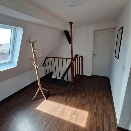 Apartmán Penzini Monteurzimmer Au Am Rhein Rastatt Karlsruhe Nahe Messe *
